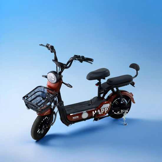 2-1/2"Xbwg11 Hot Dipped Galvanized Clout Nails with Ring Shank