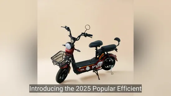 2-1/2"Xbwg11 Hot Dipped Galvanized Clout Nails with Ring Shank