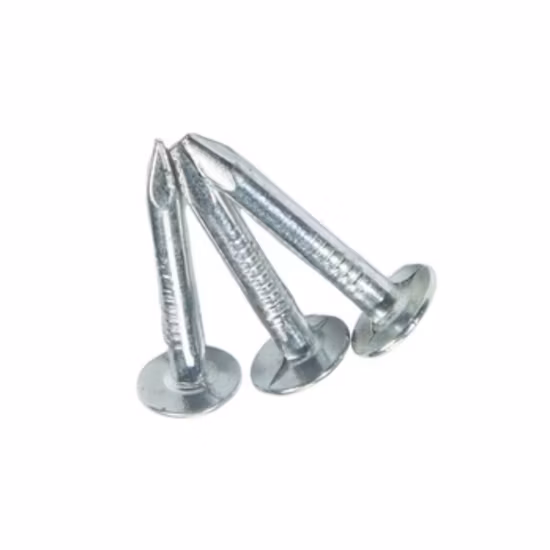 Big Head Eg Clout Nails