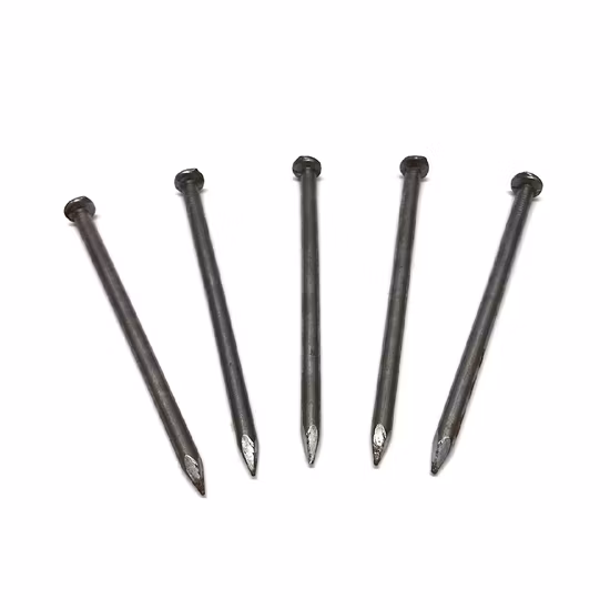 高品質BRT&Eg&HDG建設用共通釘