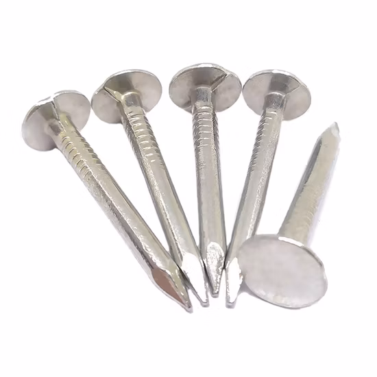 ビッグヘッドエグクラウトネイル